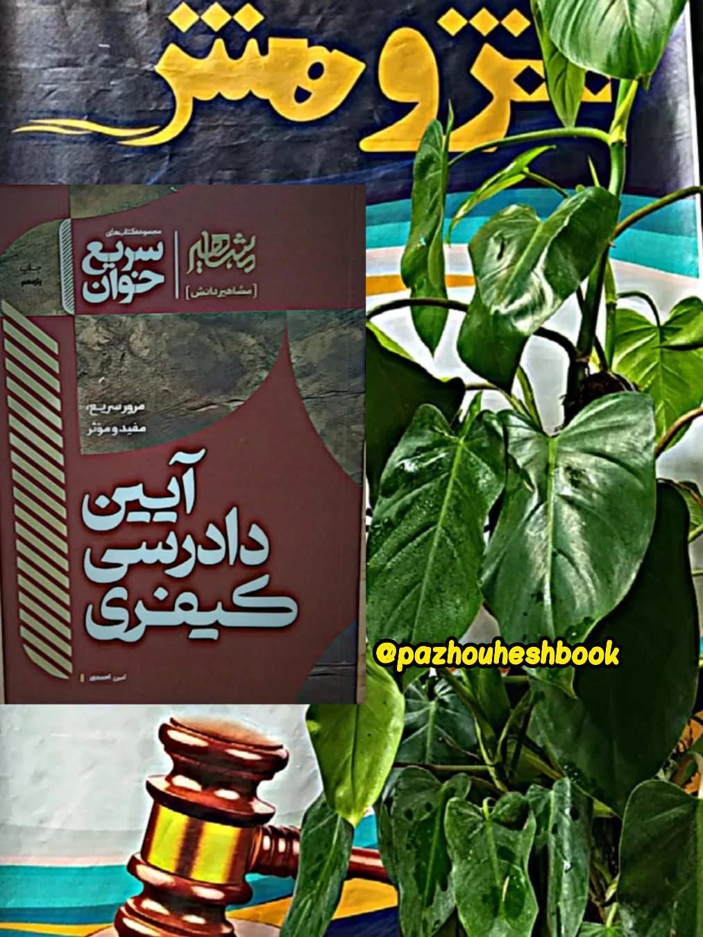 سریع خوان آیین دادرسی کیفری